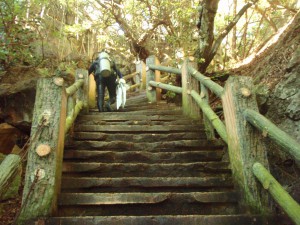 20131210-grotto