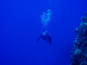 20140821-grotto