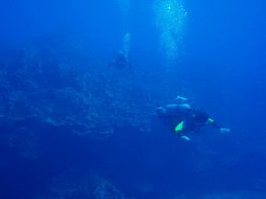 20150102-ダイビング
