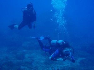 20150114-diving