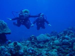 20150117-diving