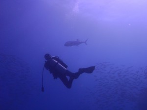 20160813-サイパン