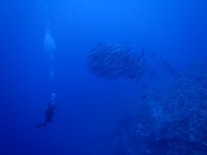 20170913-ダイビング